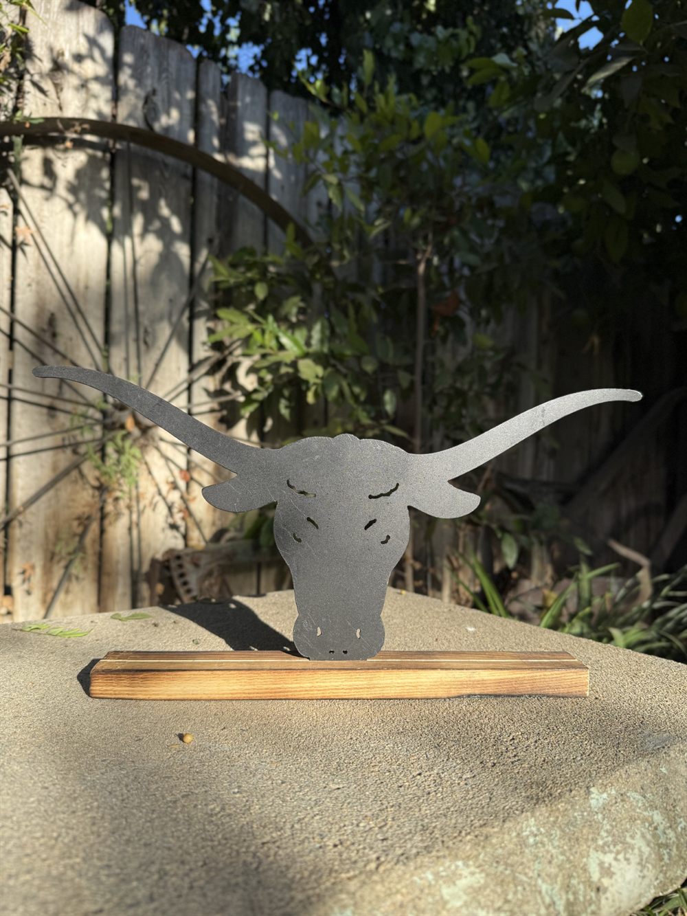 A steel longhorn bull head on a wood base.